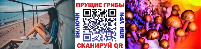 Галлюциногенные грибы GOLDEN TEACHER  даркнет сайт  Ясный 